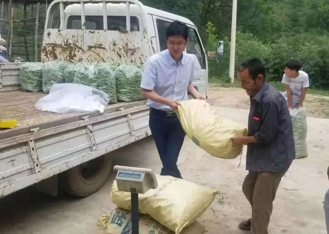 站在精准扶贫第一线，，，，，，擎起脱贫攻坚一面旗 ——记中国西电集团扶贫干部冯红彦-中国西电集团有限公司