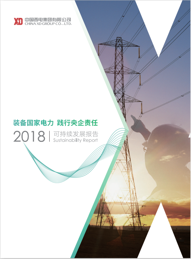 中国西电集团有限公司2018年度可一连生长报告-中国西电集团有限公司
