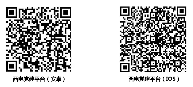 党建平台-中国西电集团有限公司