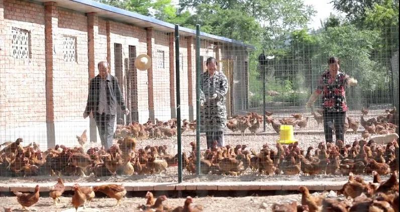 国家扶贫日，，，，看中国西电集团怎样开展精准扶贫-中国西电集团有限公司