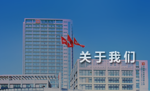 西电企业文化手册——愿景-中国西电集团有限公司