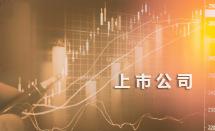 西电企业文化手册——愿景-中国西电集团有限公司
